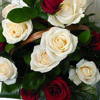 Aisuluu Arzibek Kyzy