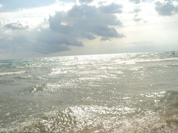 Галина Зайцева