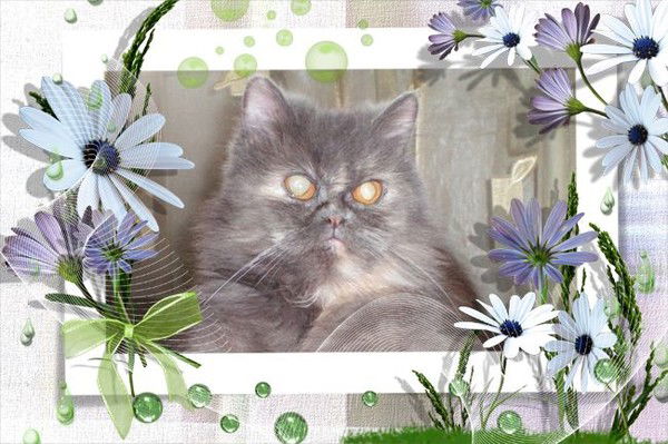 Татьяна Котлякова