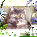 Татьяна Котлякова