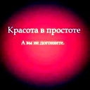 «Dasha Kim