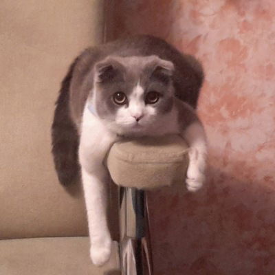 Диана Резвова