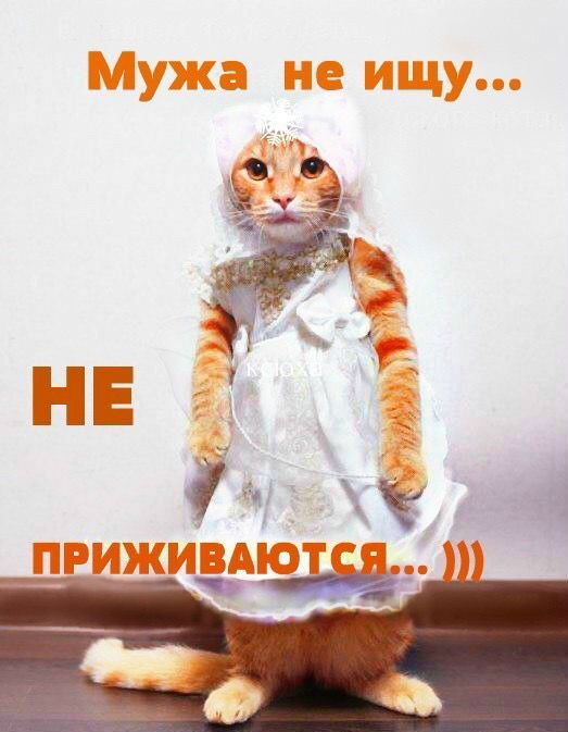 У тебя есть мечта да похудеть а что не худеешь