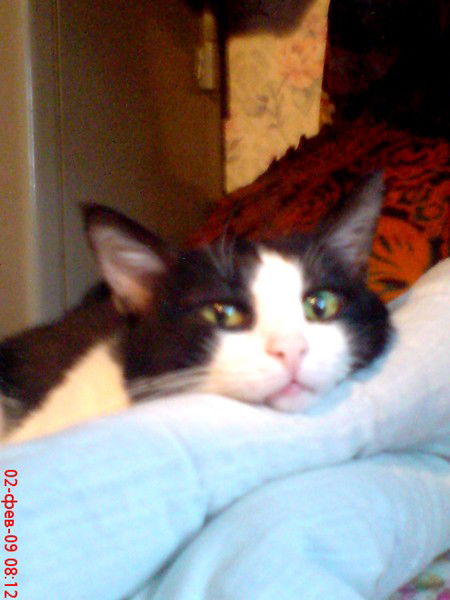 Александр Дорофеев