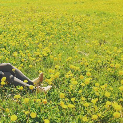 Алёна Баранова