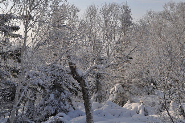 Юлия Бабиленко