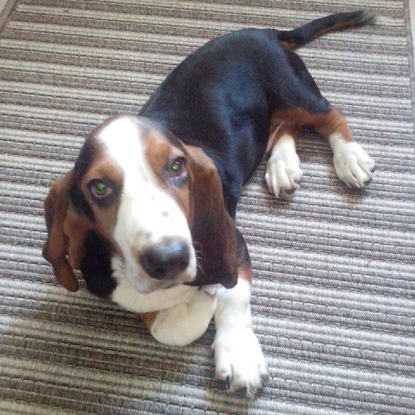 Фёдор Александрович