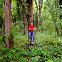 Anar Abdullayev