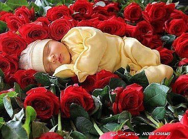 Севинч Алиева