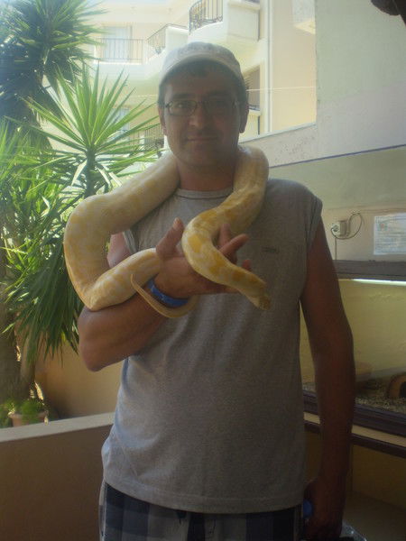 Андрей Красильников