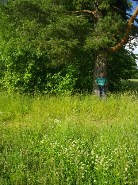 Орест Пятибрат