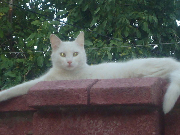 Гульнара Джурабекова