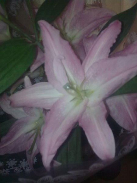 Алия Байбурина