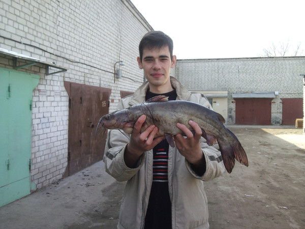 Владимир Кузьмичев