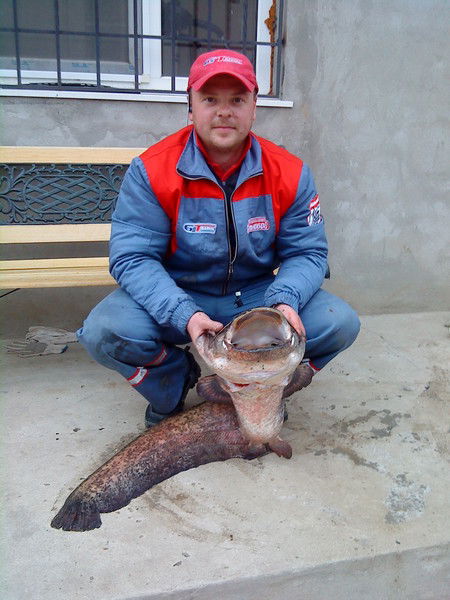 Николай Матковский