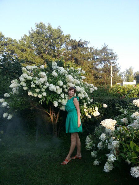 Наталья Дорохова