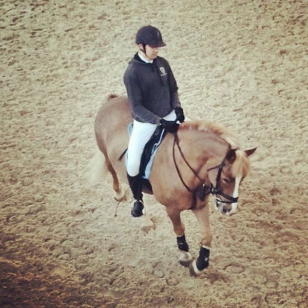 Николай Вардашкин