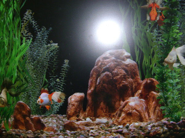 Вера Матяшова