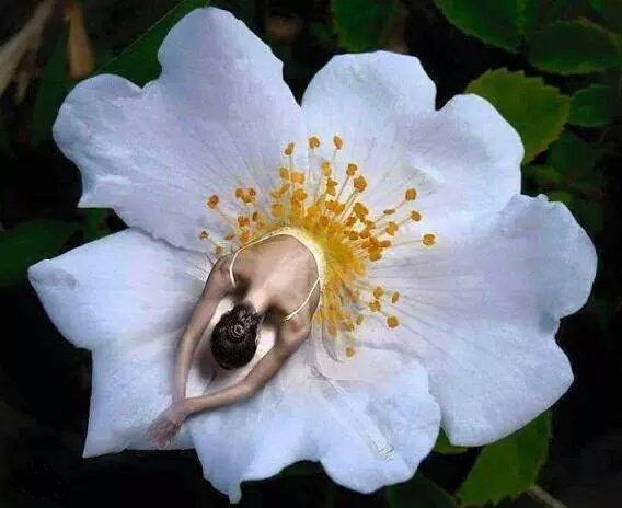 Мария Селиванова