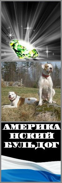 Юлия Галахова