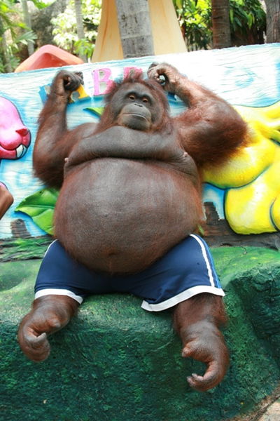 Александр Бакулин