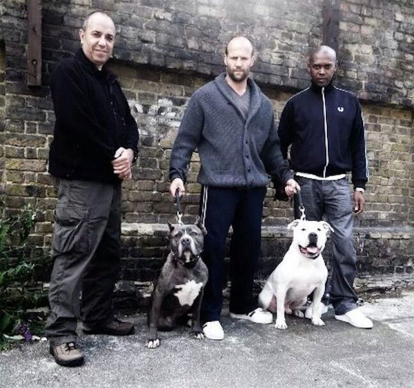 Бахрам Муханов