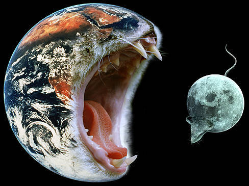 Сергей Петревич