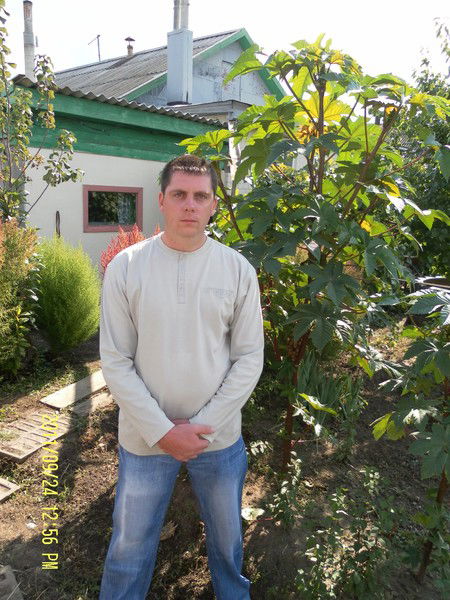 Дмитрий Щитченко