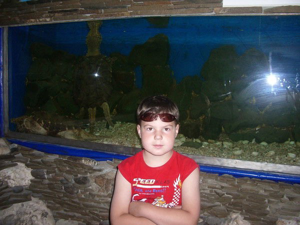 Антон Сырченков