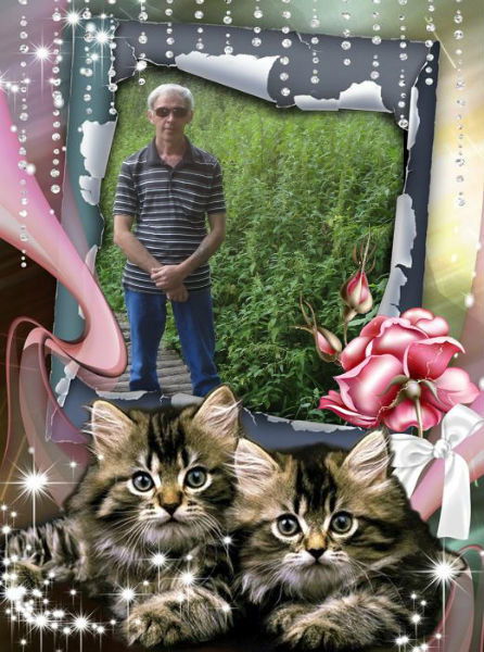 Геннадий Воронин