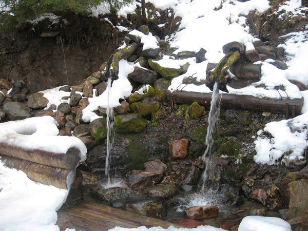 Алексей Евстахов