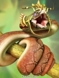 Дмитрий *******