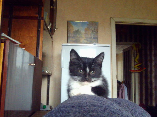 Светлана Кожохина