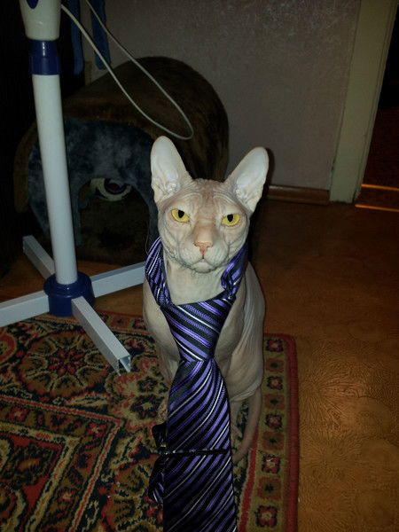 Евгений Ереминцев