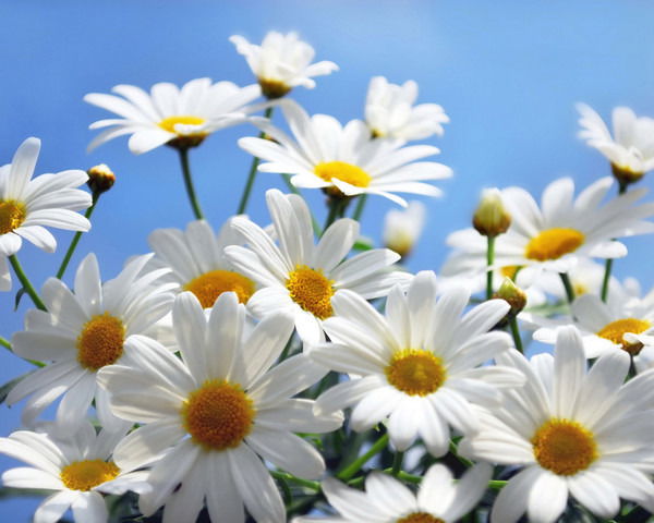 Галина Васина