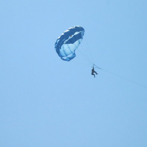 Чтуп Шпаркович