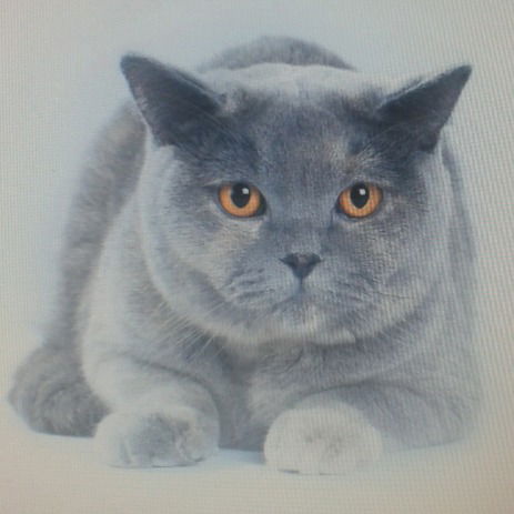 Анастасия Колмогорова