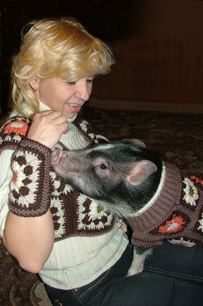 Елена Беляшова