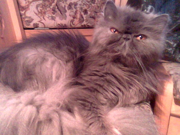 Светлана Т.