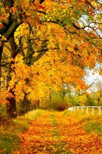 Лариса Заруцкая(Слукина)