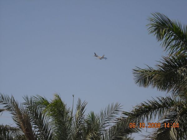 Дмитрий Пичугин