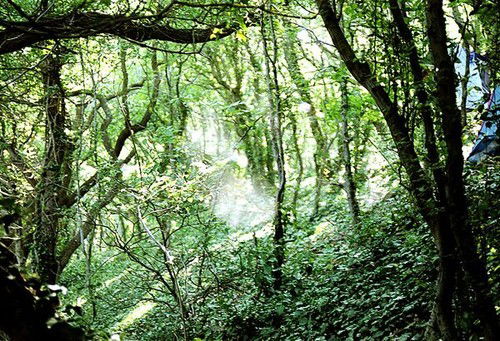 Екатерина Бондарева