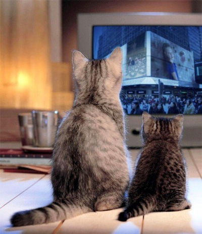 Вероника Григорьева