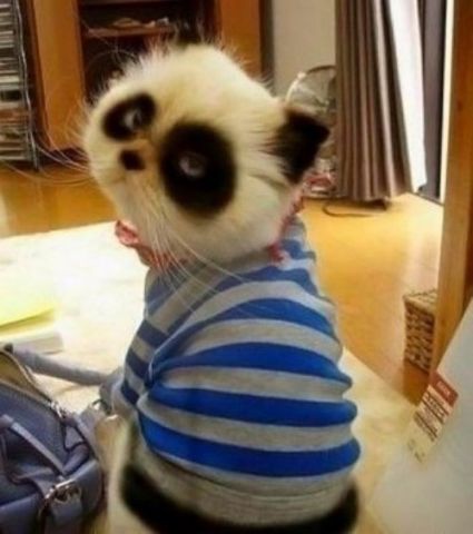 Сергей Николаев