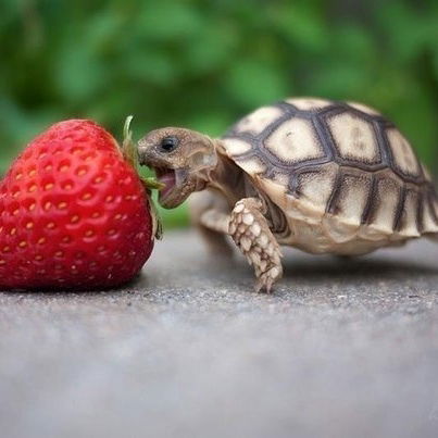 Алена Мартишина