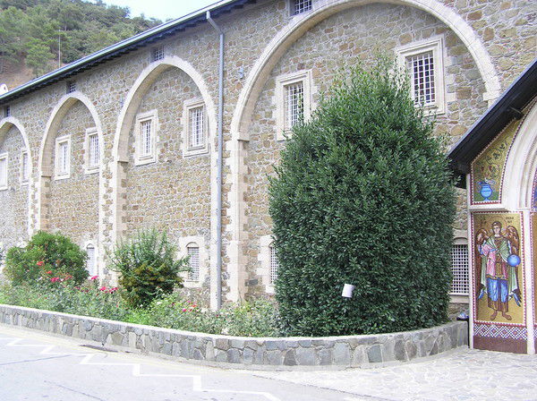 Татьяна Ботвинко