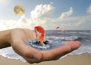 Ольга Мусихина