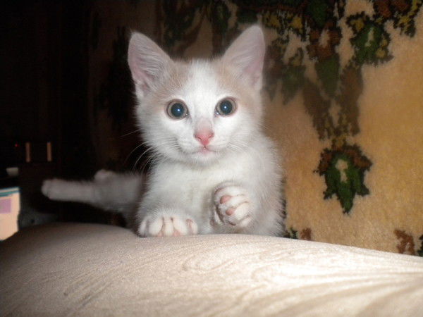 Александр Александрович