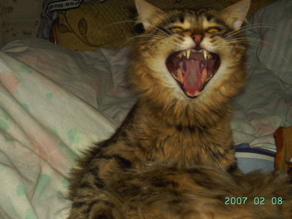 Стас Сергеев