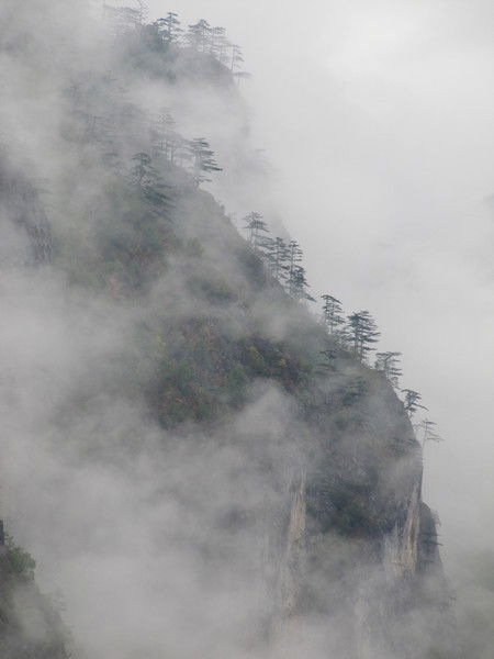 Владимир Белов